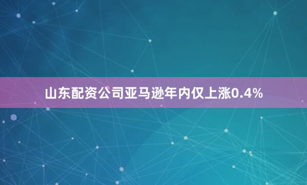 山东配资公司亚马逊年内仅上涨0.4%