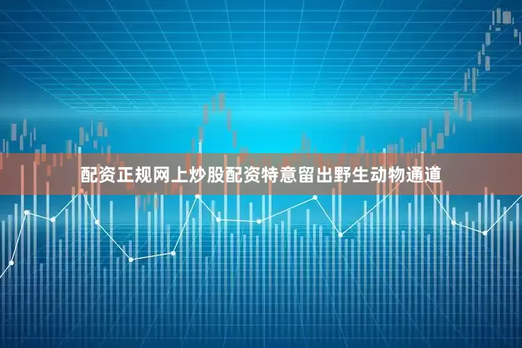 配资正规网上炒股配资特意留出野生动物通道