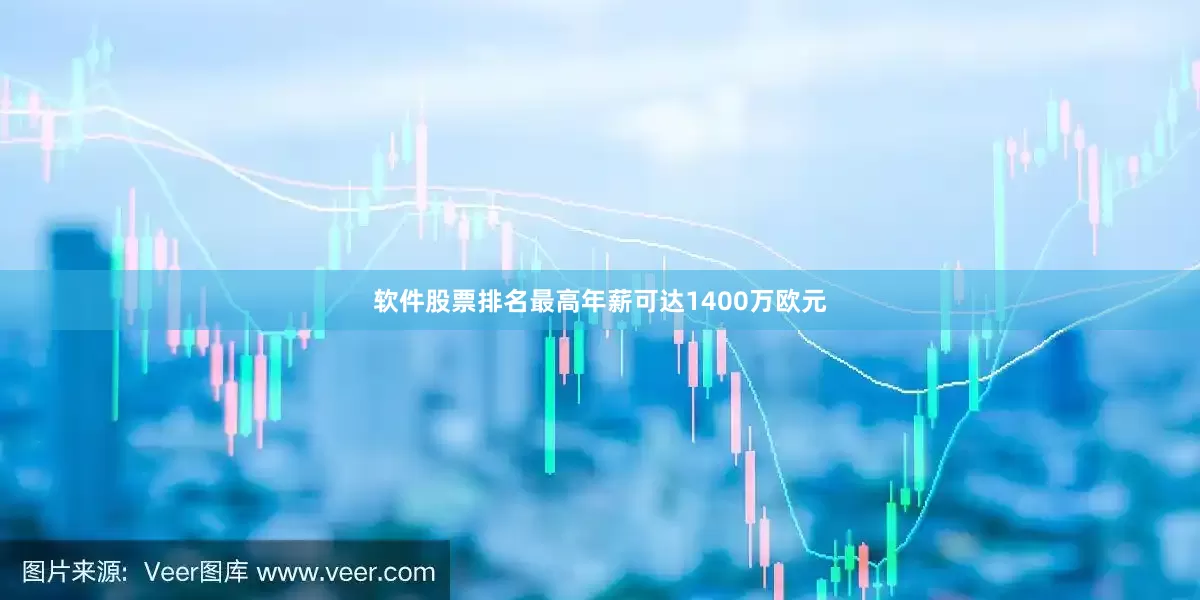 软件股票排名最高年薪可达1400万欧元