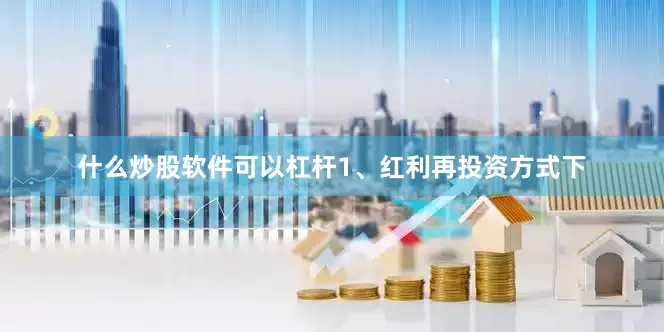 什么炒股软件可以杠杆1、红利再投资方式下